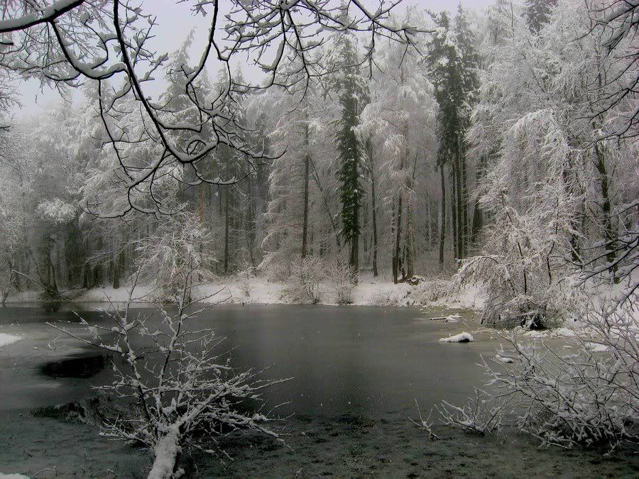 like a ghost in snow