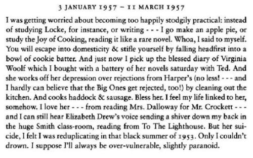 violentwavesofemotion-deactivat: Sylvia Plath, on Virginia Woolf.