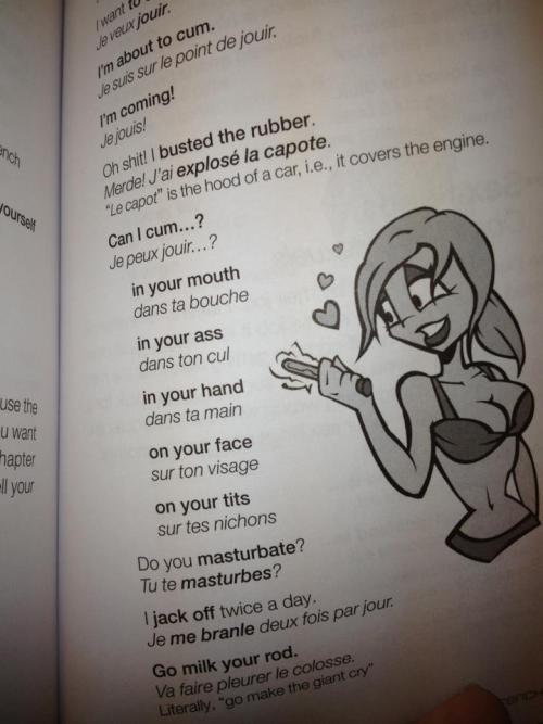 fascinantechosedenouveau:  Il est essentiel de connaître ces phrases. Especially since I’m a dirty girl… 