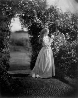 funeral-wreaths:  Julia Margaret Cameron