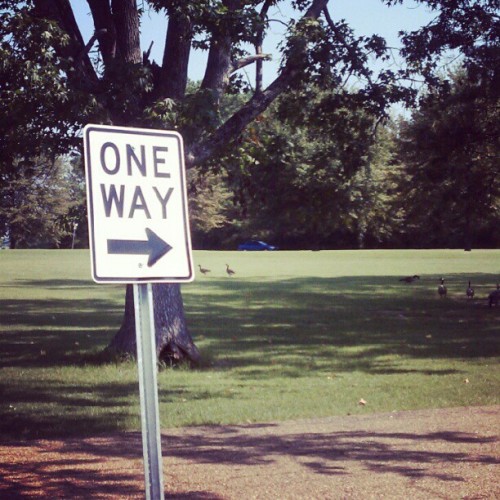 #fmsphotoaday #photoadaysept #sometimes We Go The Wrong Way Down A One Way Street (Taken With Instagram