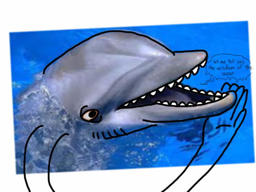 hollysocks:  spent:  MY FRIEND MATT KEEPS DRAWING ON THESE PICTURES OF DOLPHINS. HE JUST KEEPS MAKIN’ EM.  Quality.