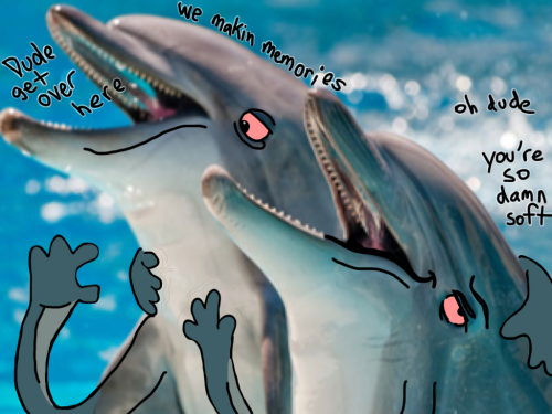 hollysocks:  spent:  MY FRIEND MATT KEEPS DRAWING ON THESE PICTURES OF DOLPHINS. HE JUST KEEPS MAKIN’ EM.  Quality.