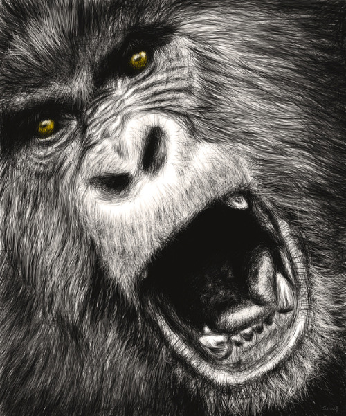 devidsketchbook: UNGRY ANIMALS SERIES Artist Samy Halim  This is a series of a number of animal