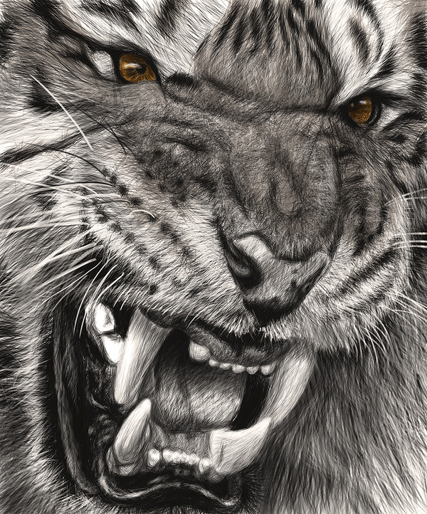 devidsketchbook:  UNGRY ANIMALS SERIES Artist Samy Halim  This is a series of a