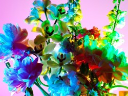 photojojo:  Loving this series entitled “Electric Blossom” by Torkil Gudnason. To achieve the myriad of colors, Torkil employed “sophisticated studio lighting techniques” and a few tricks he’s keeping secret.  Boquets of Flowers Lit With Currents