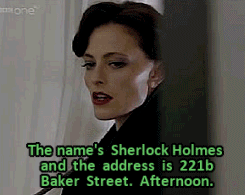 karlimeaghan:  Sherlock AU: Femlock/Molrenelock (is that a thing? It is now) with Lara Pulver as Sherlock Holmes, Louise Brealey as Joan Watson. Episode 1: “A Study in Pink” (see all of my Molrenelock GIFs)  HOLY SHIT