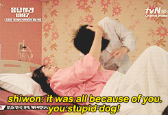 lookfar:  pandreos: shiwon blames everything on yoonjae for the pain she’s in while giving birth   This was hilarious.