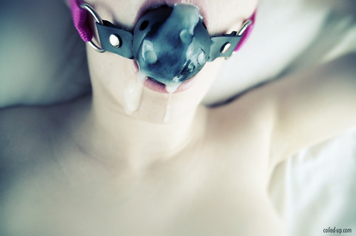 coiledup:  Photo from yesterday. Photo: Coiled Up