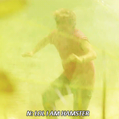 niallsmilesforblaise:  Guys calm down we have nothing to be afraid of. If anything