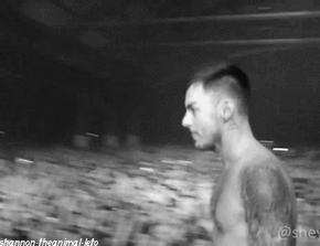 SHANNON LETO SEXUAL FRUSTRATION POST