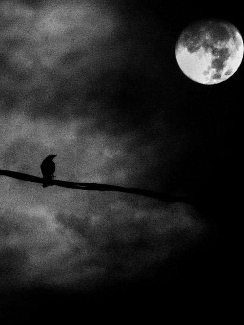 Lunam