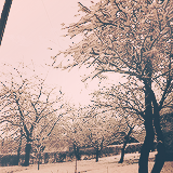 emingaribov:things i really really like ⇨ winter