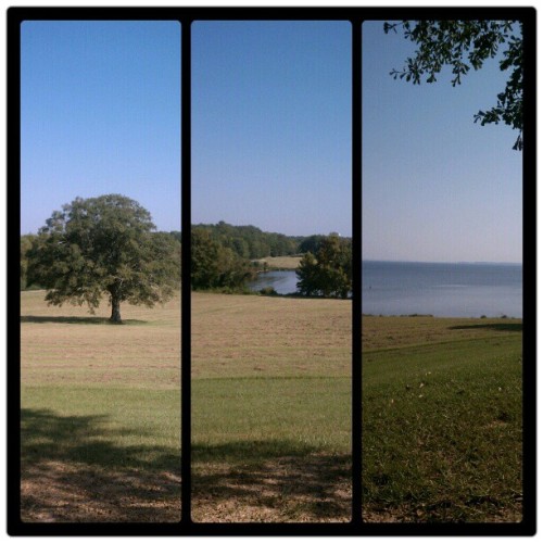 #love This Spot. (Taken With Instagram At The Overlook At The Natchez Trace)