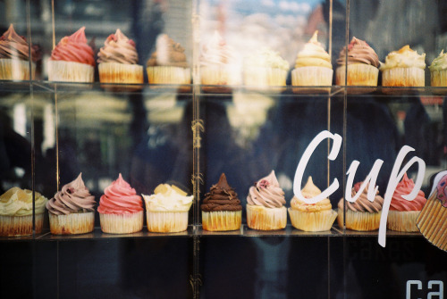 emicatery:  14.8 cupcakes in vienna (by aliceje) 