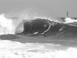 patagonia:  Ocean Motion