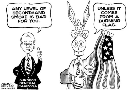 agoodcartoon:apants:agoodcartoon:Secondhand smoke is a serious health risk, while burning an America