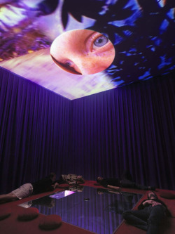 darksilenceinsuburbia:Pipilotti Rist.  A