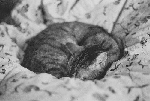 vaginab00b.tumblr.com/post/32735365343/