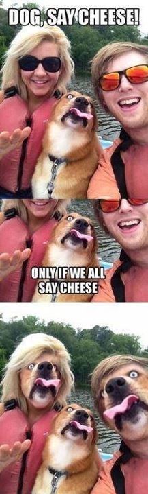 the-absolute-funniest-posts:  Follow this blog, you’ll love it on your dashboard!