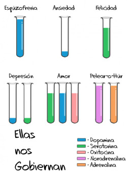 solo-pensamientos-absurdos:  Por fin no me tengo que reir de un post por ser más mentira que la chucha, esto es cierto c: