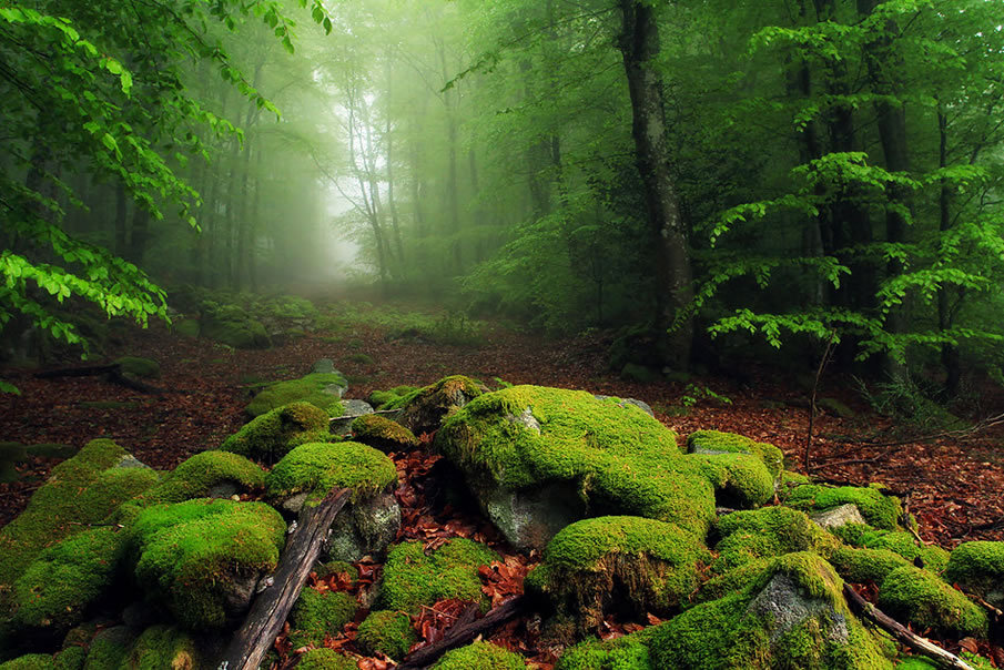 http://www.taringa.net/posts/imagenes/13897076/Para-recrear-la-vista-y-la-mente.html
