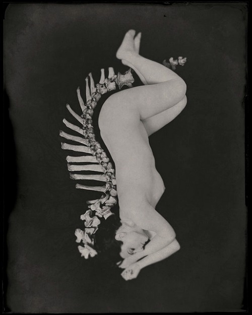 XXX Spine by Symon ChowAlso   photo
