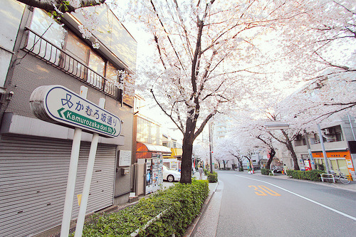 moonri: IMG_6690 (by yohey23)