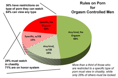 Rules About Porn for the Orgasm Denied Man