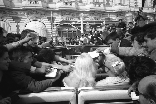 Diana Dors; at the Cannes Film Festival, 1956.