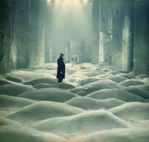 XXX bluedogeyes:  Andrei Tarkovsky’s Stalker photo