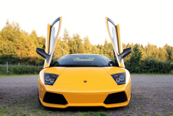 automotivated:  Wings up! #1 (by PaulR |