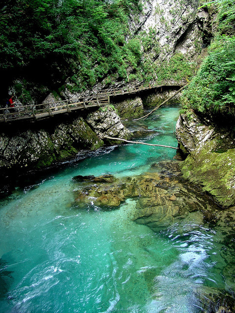 Radovna River flowing through the Vintgar Gorge, Slovenia (by Mattia Camellini).