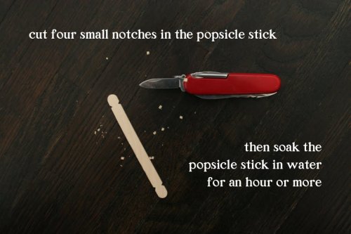 willoughbywallabywoo:  “Tiny Bow &amp; Arrow”  What you’ll need: - sharp knife