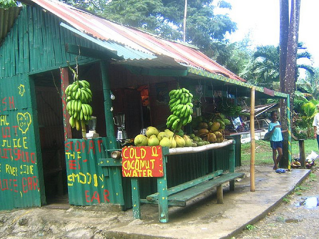 Tropical Blog