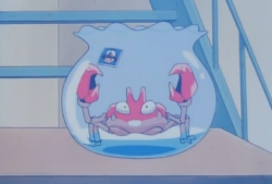 excitingbounty:  I love how Krabby has a tiny photo of Ash to look at in his bowl. 