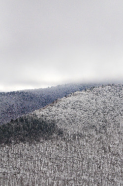 thatkindofwoman:  Winter winds. Winter bones.