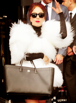 ladyxgaga:  Gaga arriving to and leaving from her perfume picnic in Paris, France earlier today. 