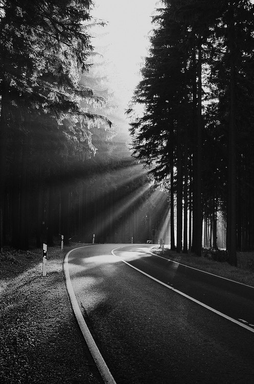 Life Is An Adventure