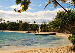 just-wanna-travel:  Mystery Island, Vanuatu