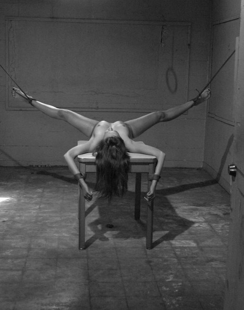 dinner table what fun http://www.tumblr.com/blog/outrageousredhead