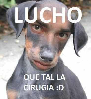 Conchesumadres
