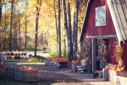 Autumn Love