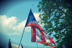 Perdiendolacorduraconlaluna:  Mi Hermosa Bandera…Grito De Lares 9/23/2012