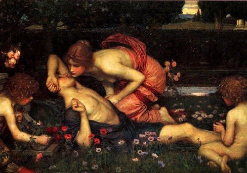 anachronisticfairytales: The Awakening of Adonis John William Waterhouse,1900 Waterhouse Sunday!