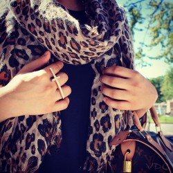 b4c4rdi:  leopard and louis vuitton 