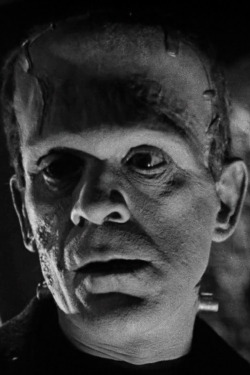 monsterman:   Bride of Frankenstein (1935) 