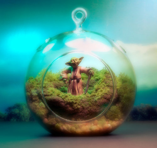 from89:  Star Wars Terrariums (by Tony Larson)   This is awesome, although I’ve never seen Star Wars haha