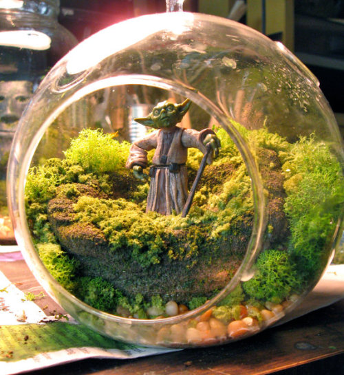 from89:  Star Wars Terrariums (by Tony Larson)   This is awesome, although I’ve never seen Star Wars haha