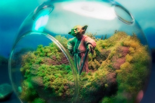 from89:  Star Wars Terrariums (by Tony Larson)   This is awesome, although I’ve never seen Star Wars haha